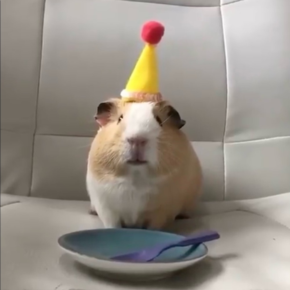 Meet your Posher, Loret